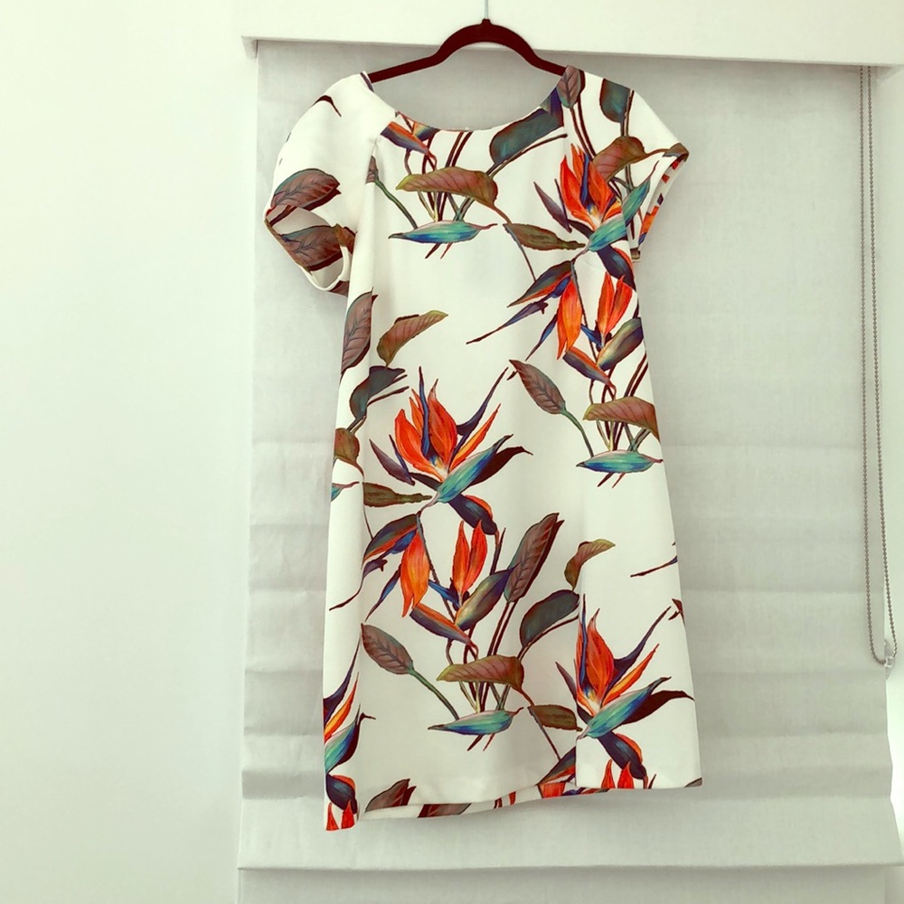 Italian designer maternity dress